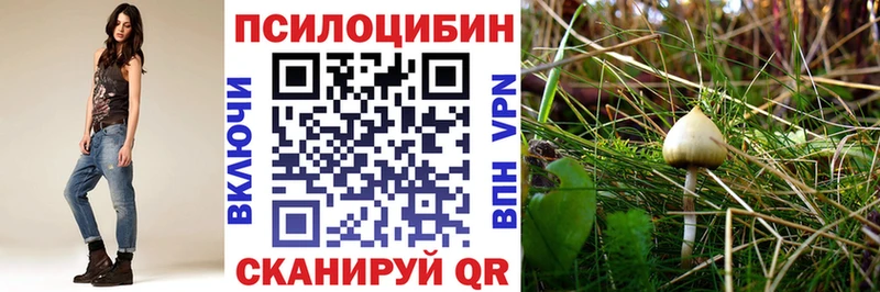 Купить закладки Усть-Джегута Галлюциногенные грибы прущие грибы